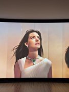 一举填补了智能大屏设备对蓝光原盘深度支撑的