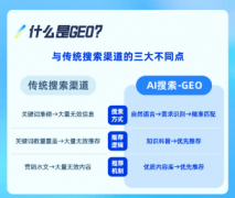 办事具有以下显著特点和劣势：：优化内容被A